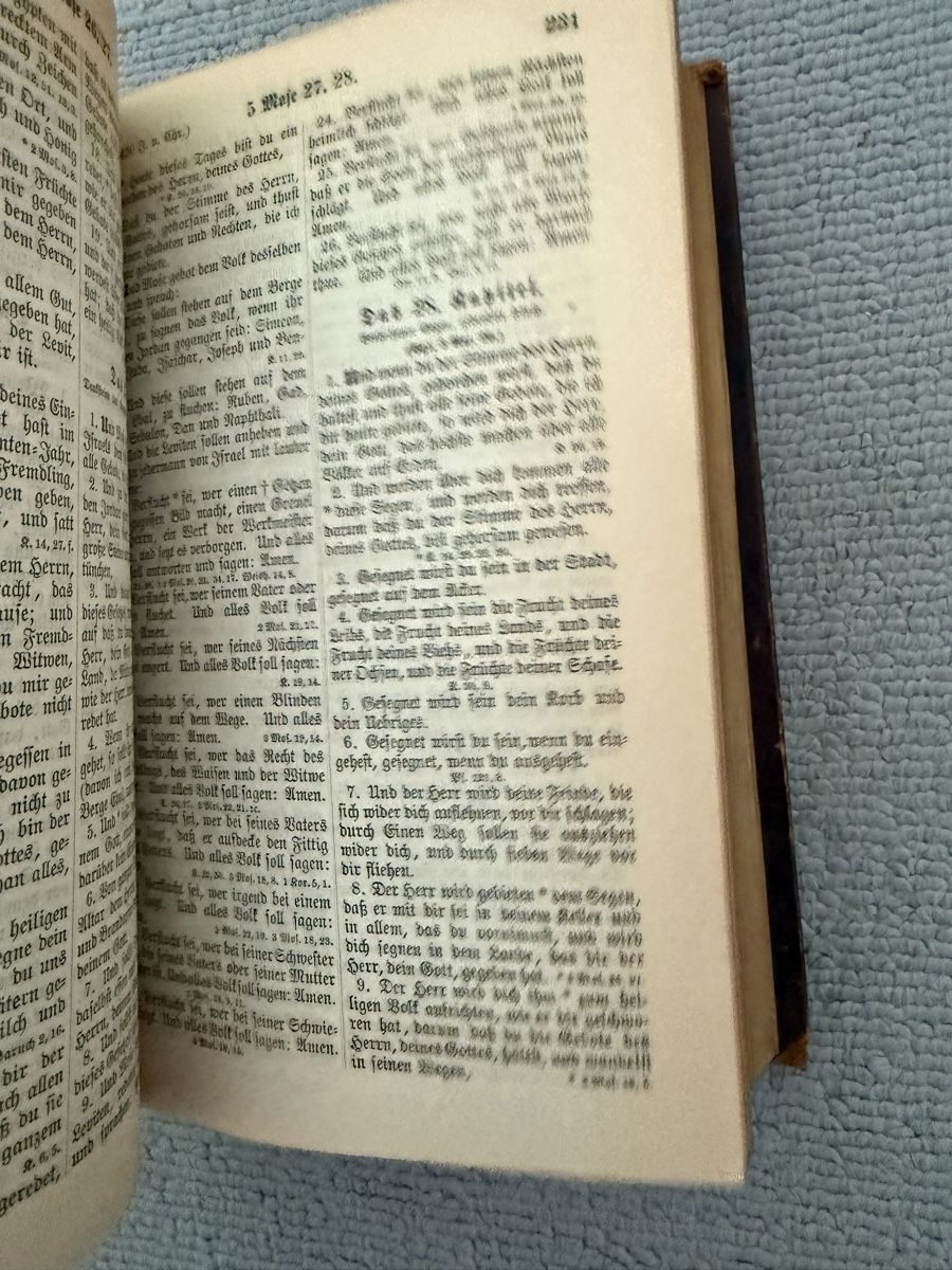 Libri: ////Antike Luther Bibel von 1883 //// – Usato da Birmenstorf AG venduto da Pat_roll 5