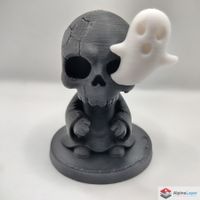 Haunted Skull with Ghost 3D Printed Decor Black White