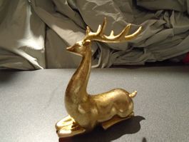 Hirsch goldfarbig, liegend
