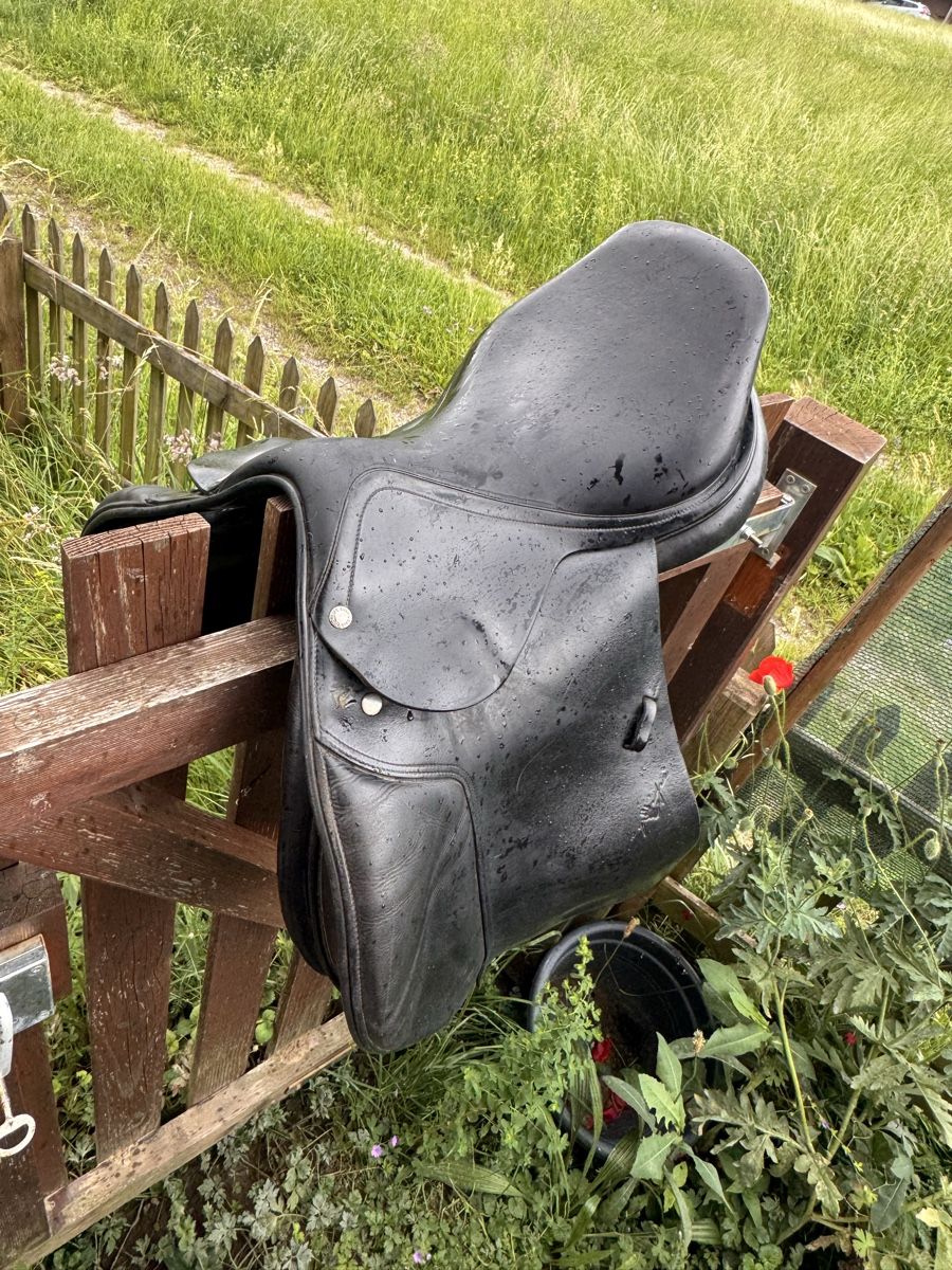 Selle & Accessori: Equipe  Sattel – Usato da Wiler b. Seedorf venduto da luz_xvk8 3
