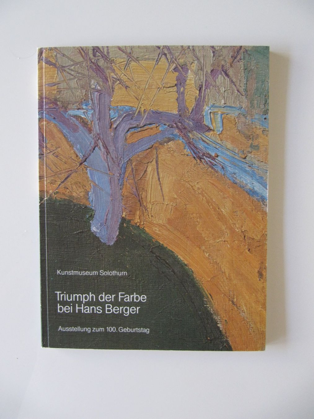 Libri: Kunstmuseum Solothurn Triumph der Farben – Usato da Basel venduto da Kuba2