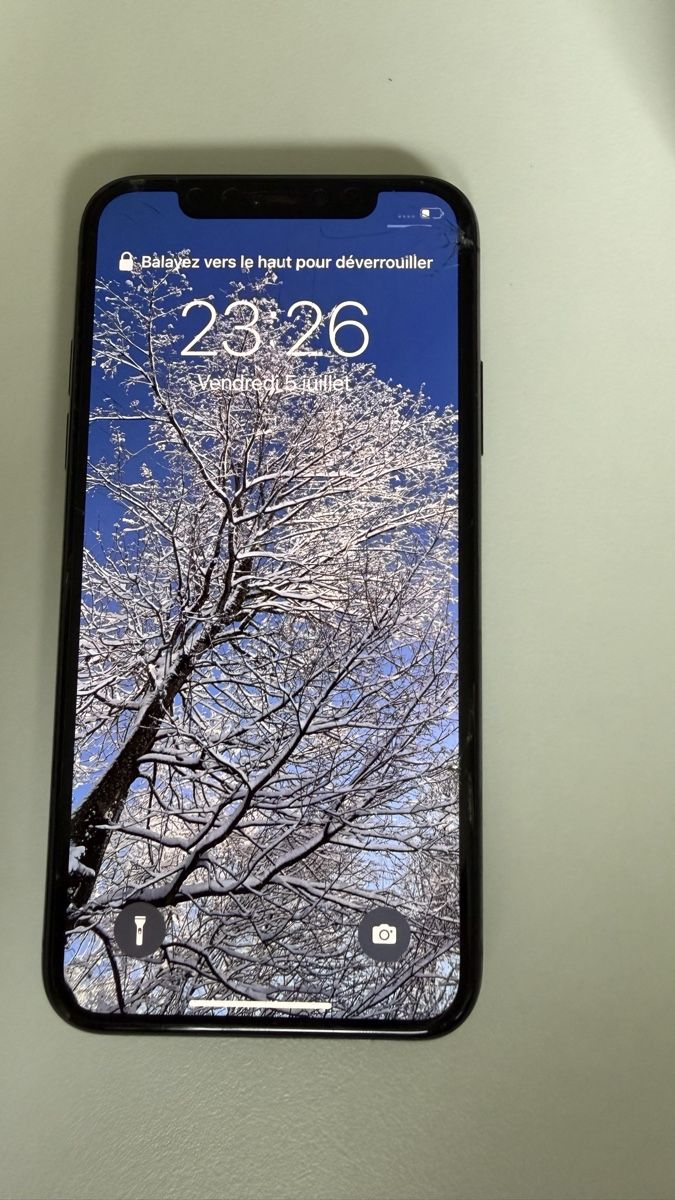 Apple Portables: iPhone XS 256GB Space Grey - Display gesprungen  – D'occasion à Lausanne par phi_7pnb 7
