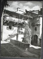 BRISSAGO Foto Kuchler Brissago - Katze
