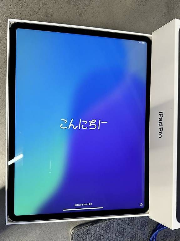 Tablet PC: IPad Pro 12.9 Wifi (5th Gen) – Usato da Möriken AG venduto da E60Veni 1