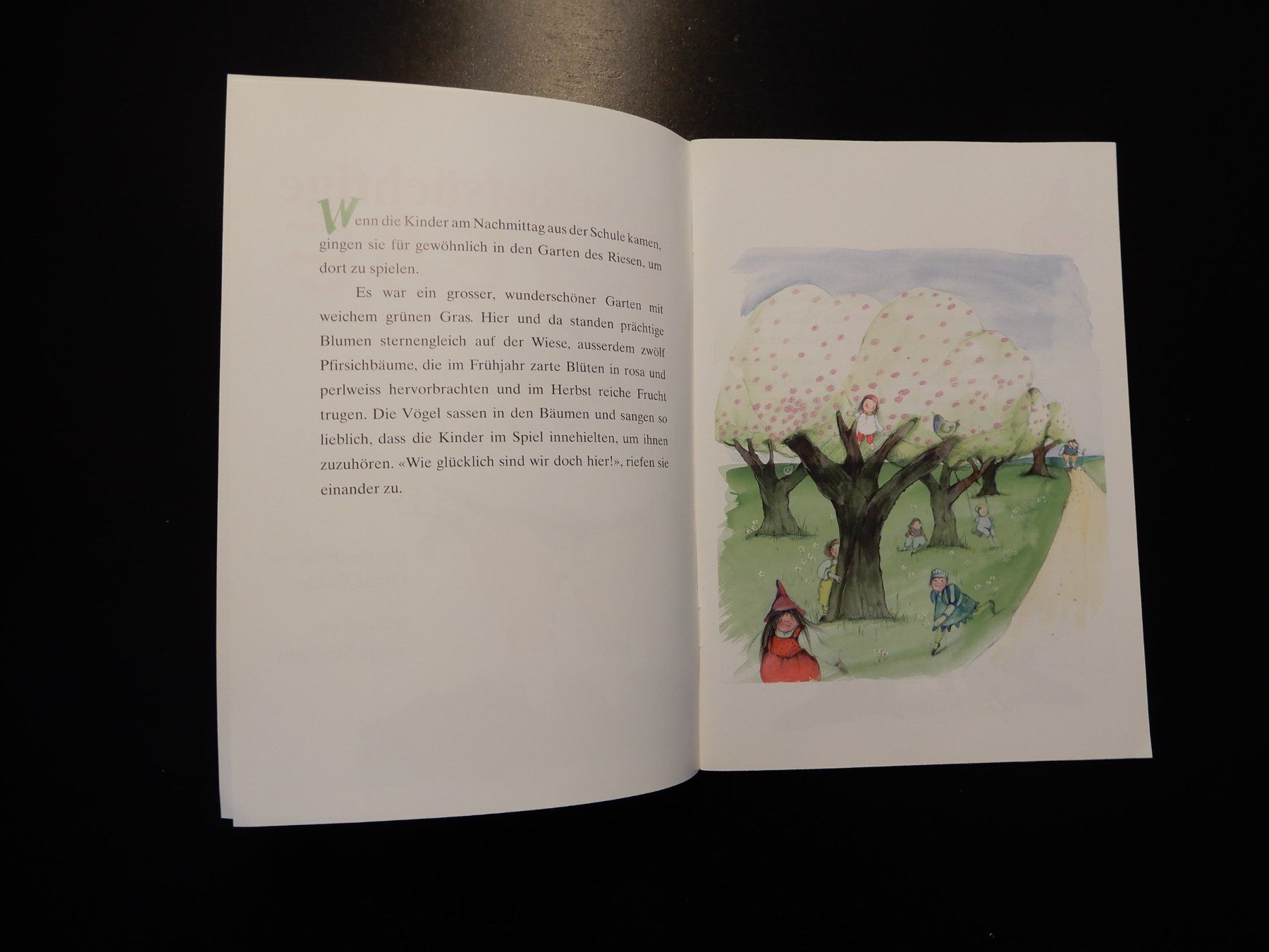 Libri: Der selbstsüchtige Riese - Kinderbuch – Usato da Erstfeld venduto da Mario_boe0 2