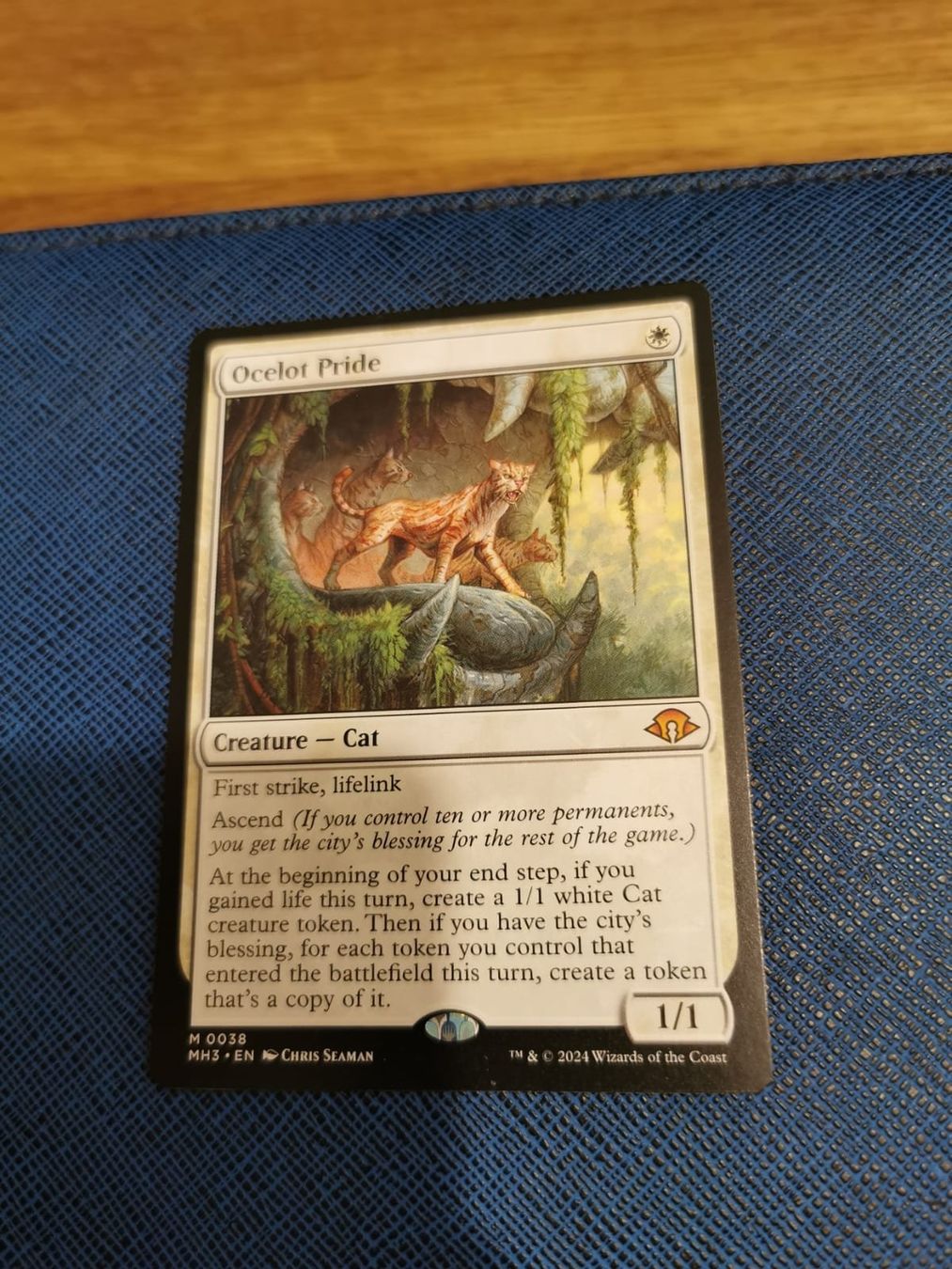 Magic The Gathering Sammelbilder & Trading cards: MTG - Ocelot Pride - Englisch – Neu (gemäss Beschreibung) aus Turgi von mgm_h2tj