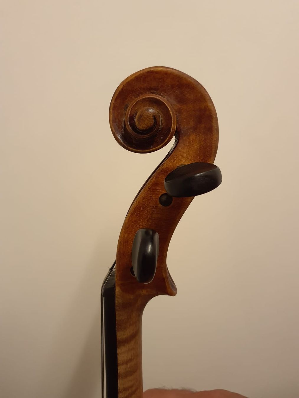 Musikinstrumente: Geige – Gebraucht aus Wattwil von inf_6695 1