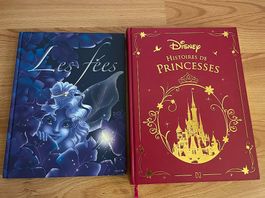 Lot de 2 livres sur les fées et les princesses