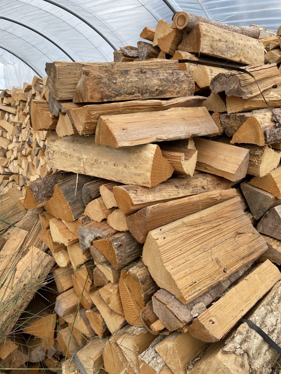 Articoli in legno: Brennholz Nadelholz.  – Nuovo (secondo la descrizione) da Egnach venduto da larssigner 2