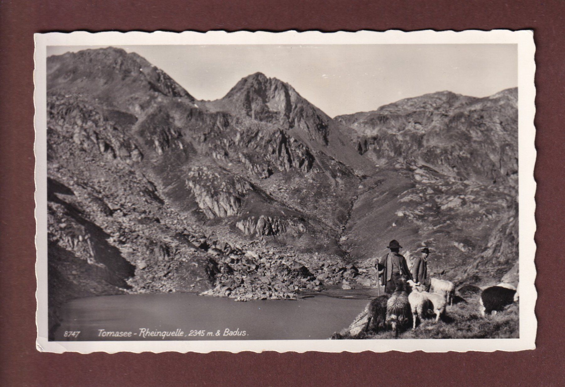 Cartes postales: TOMASEE - Rheinquelle - Leute – D'occasion à Pully par nicecards-shop