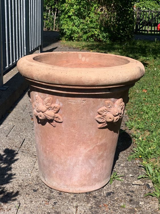 Terracotta Topf Winterhart Kaufen auf Ricardo