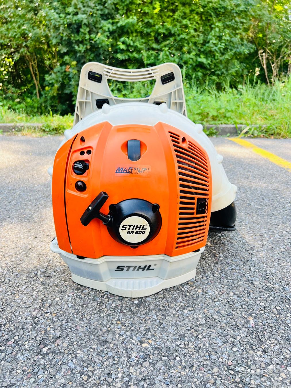 Stihl Laubbläser & Laubsauger: Laubblaser Stihl BR 600 MAGNUM – Gebraucht aus Urdorf von Faz_19 1
