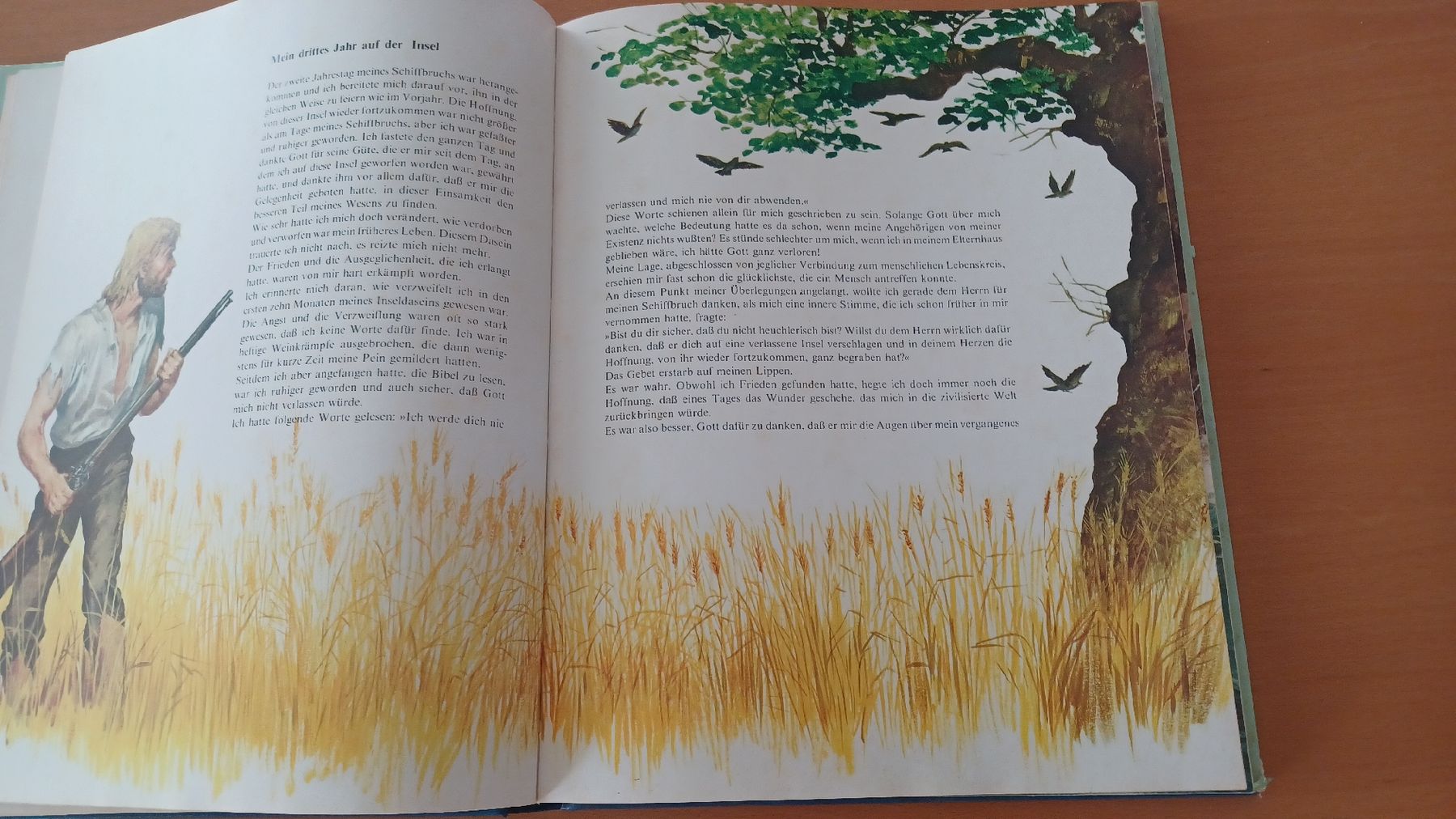 Libri: Robinson Crusoe Buch, Jugendbuch Klassiker – Usato da Steinach venduto da Sommer9000 2