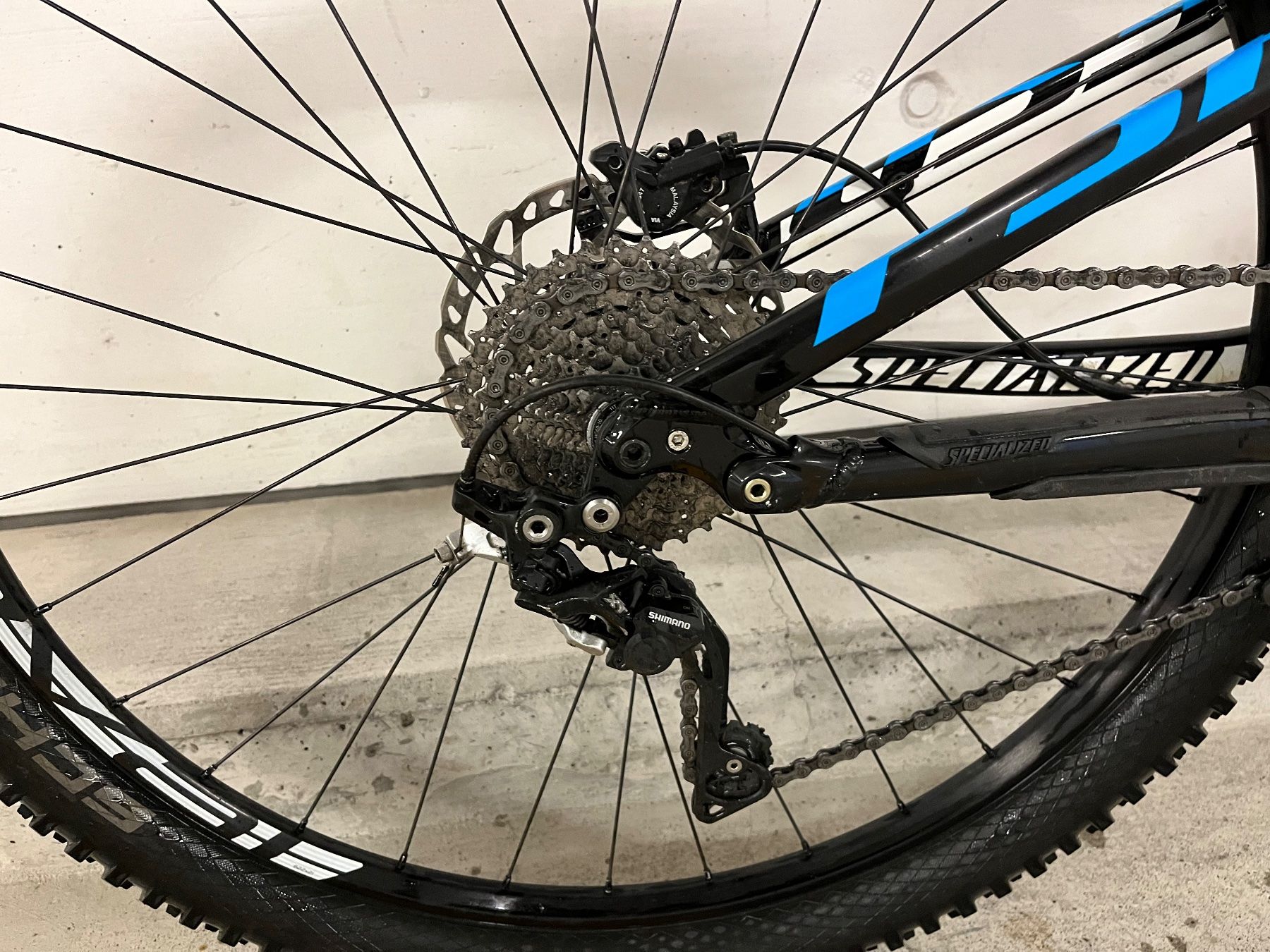 Specialized Biciclette: Specialized MTB 29“ Räder – Usato da Zürich venduto da divertimento4 7
