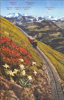Bahn // Zahnrad Brienzer Rothorn Bergbahn