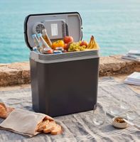 Elektrische Kühl- und Wärmebox