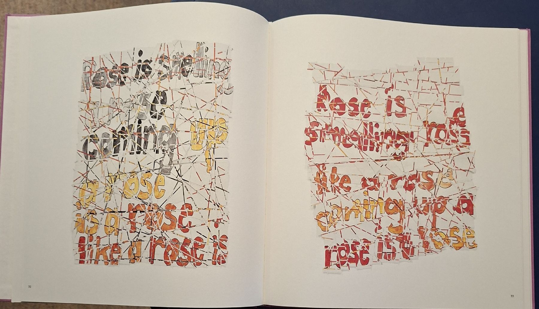 Livres: Roni Horn "Th Rose Prblm" Bildband Steidl 2015 – Neuf (Voir description) à Niederglatt ZH par Siegfried67 7