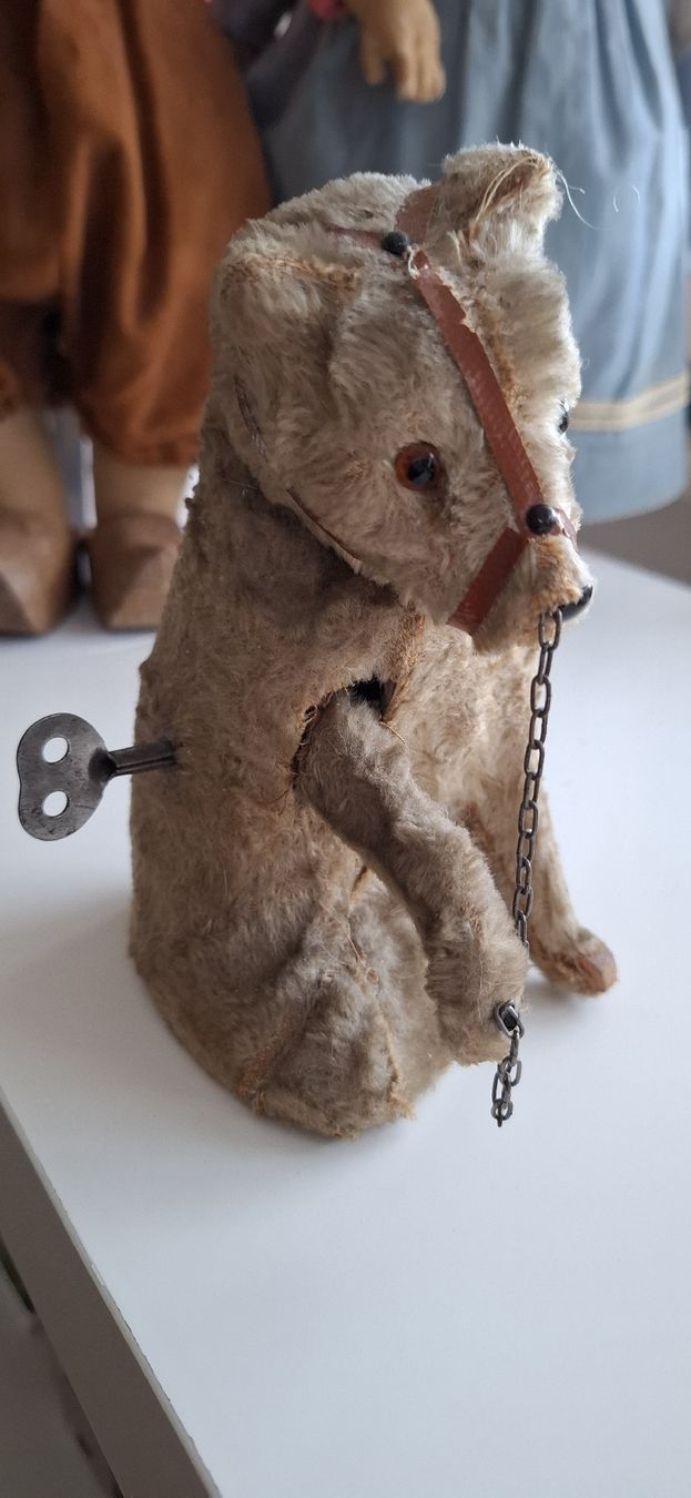 Jouets: Tanzbär, Uralt! – D'occasion à Richterswil par Hasino01