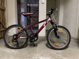 Mountainbike 