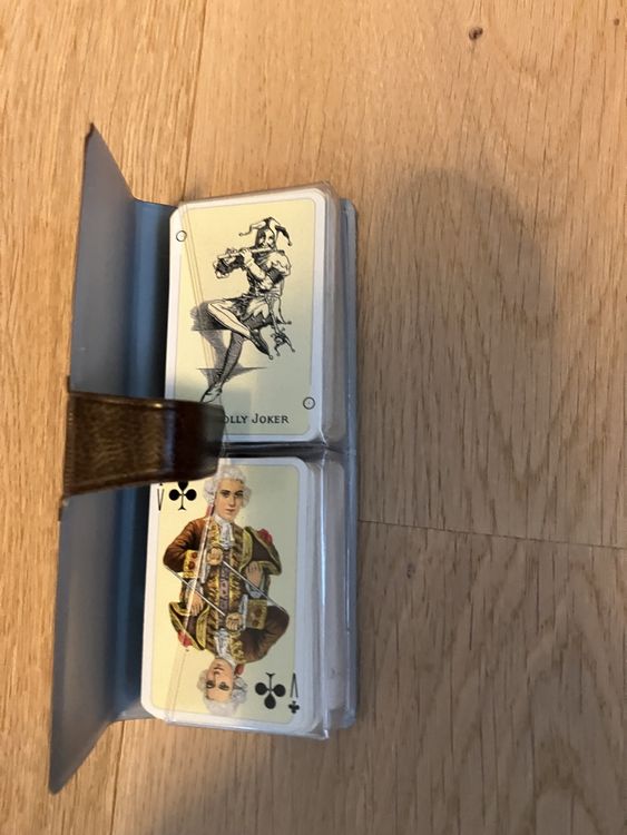 patience-spielkarten-vintage-kartenspiel-im-etui-gebraucht-in