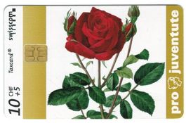 Taxcard Pro Juventute Rose