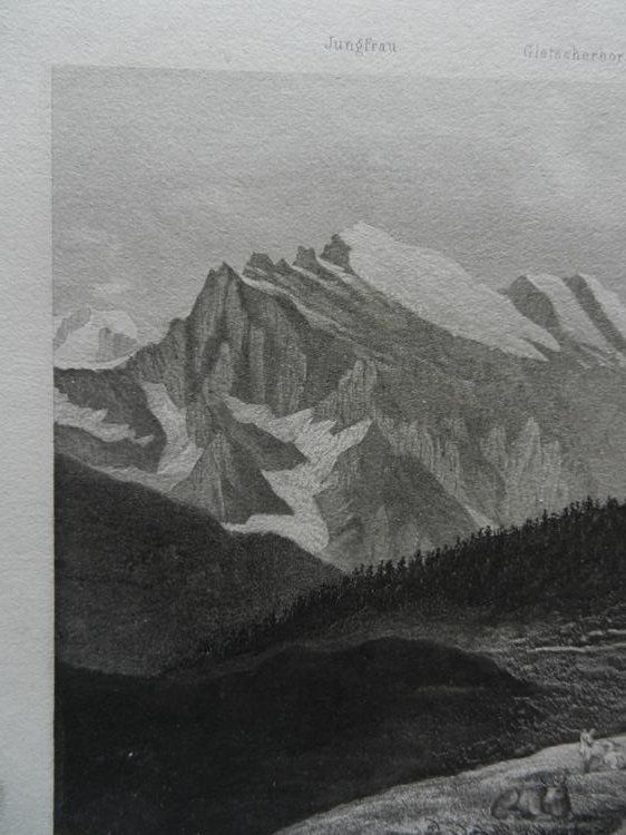 Incisioni: Mürren Jungfrau – Usato da Risch venduto da Rischli15 3