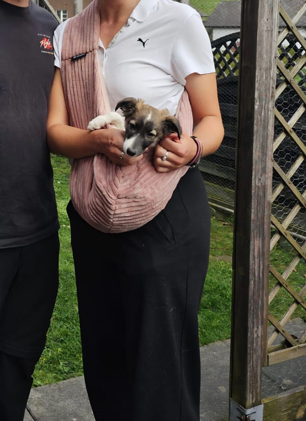 Taschen: Hundetragebeutel WOOFF rosa neuwertig – Gebraucht aus Gümligen von veruskakozlov 1