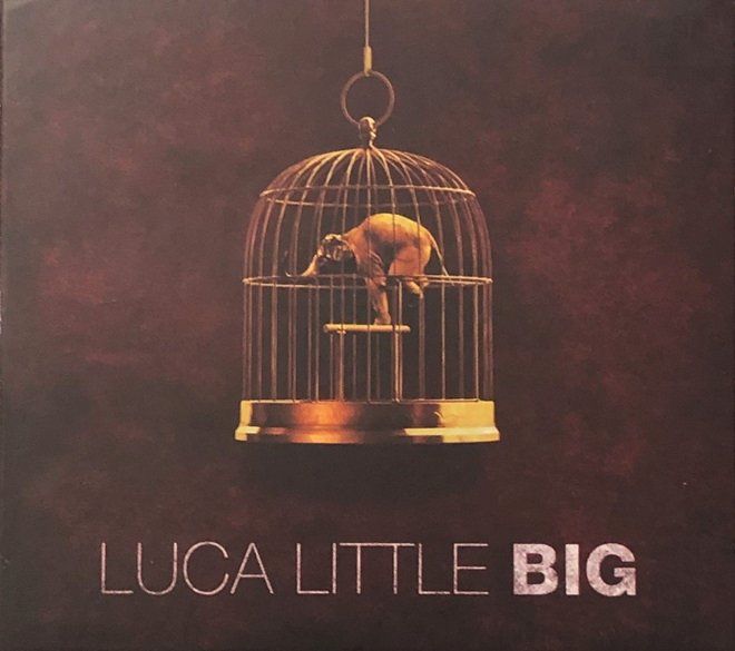 CD: Luca Little - Big – Usato da Grüningen venduto da azulgris