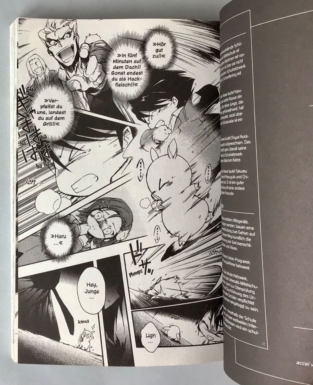 Fumetti: Manga - Comic: accel World, Band 1 – Nuovo e nell'imballaggio originale da Bubendorf venduto da Alpenheidi 7