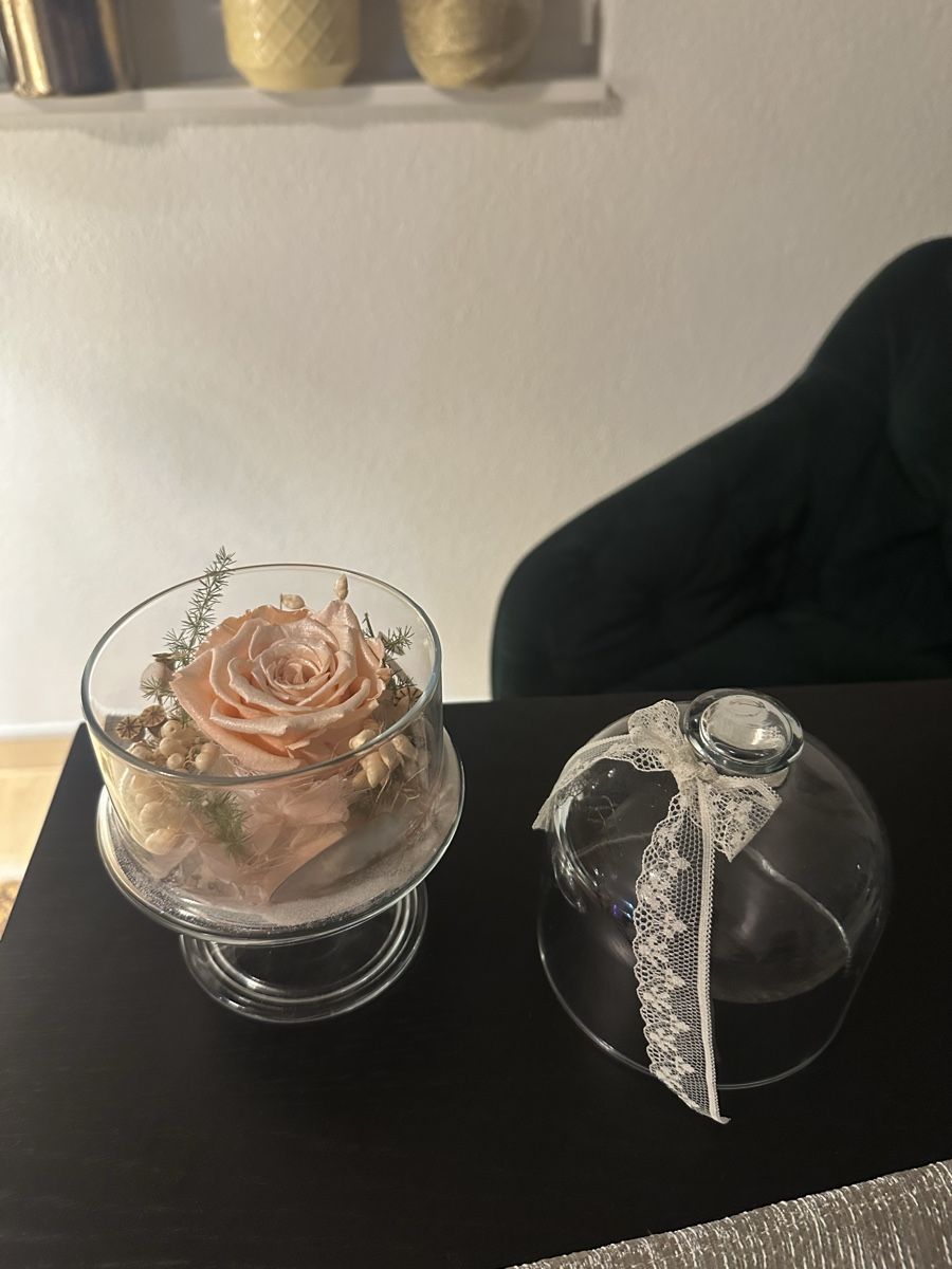 Tutte le decorazioni: Vase Glasglocke getrocknete Rose – Nuovo (secondo la descrizione) da Luzern venduto da ariazalea 2