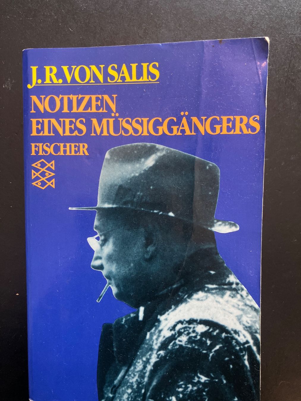 Libri: Notizen eines Müssiggängers. J.R. Von Salis – Usato da Wangen ZH venduto da day01