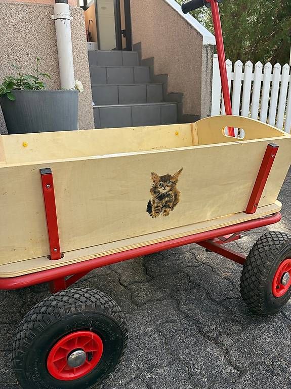 Fahrzeuge für Kinder: Bollerwagen – Gebraucht aus Reinach BL von Steinii