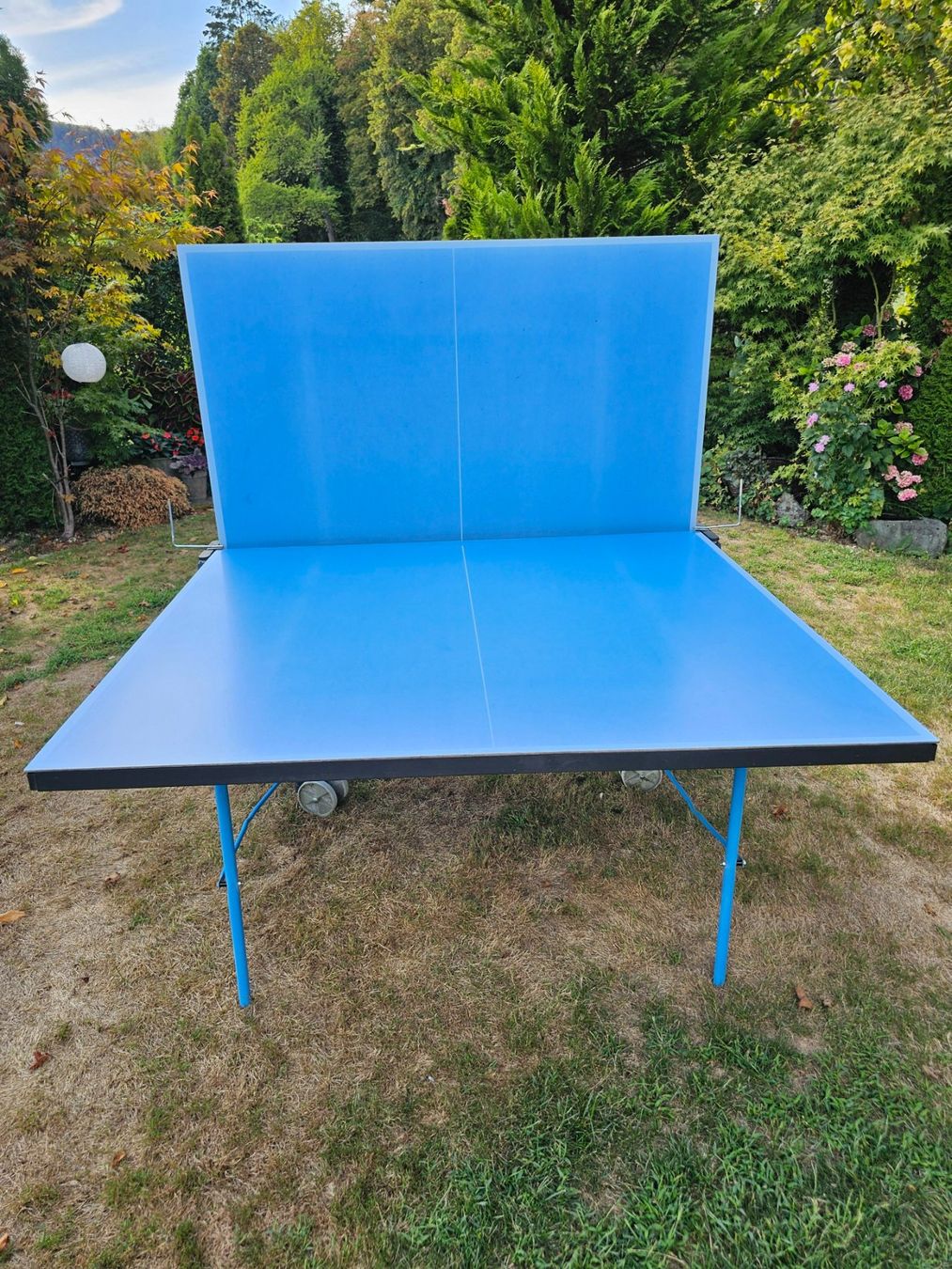 Tennis de table: Tischtennistisch – D'occasion à Aarburg par Joerg.Andre 2