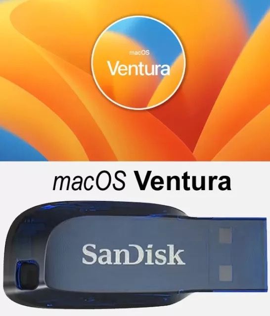 Chiavette USB: MacOS Ventura Bootstick – Nuovo (secondo la descrizione) da Emmenbrücke venduto da WorldofTech