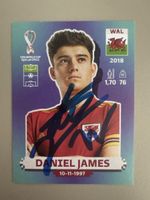 Panini WM 2022 Daniel James Wales signiert