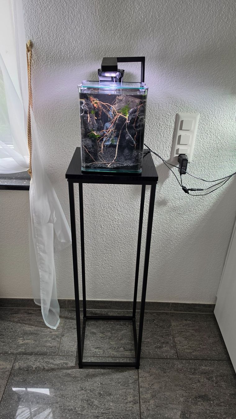 Acquari: Nano Aquarium Schlucht imitation – Usato da Obergerlafingen venduto da Deluxepoint
