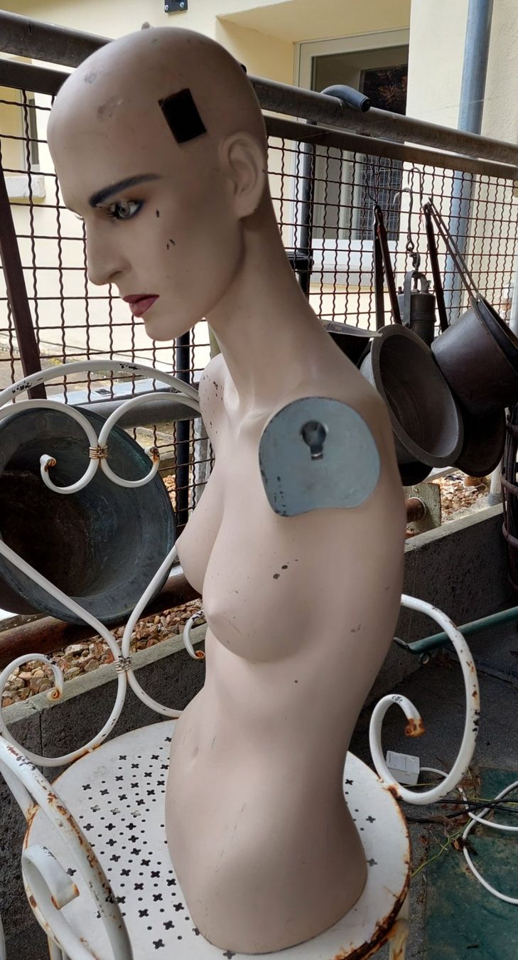 Altro in Decorazioni & Accessori: Torso von  Schaufensterpuppe – Usato da Siblingen venduto da rantiques 2