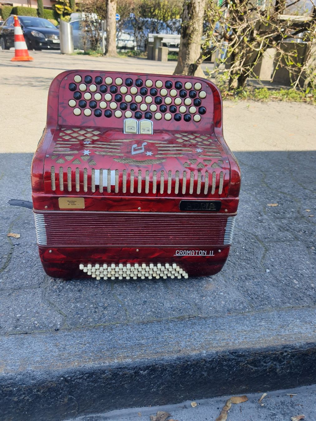 Adria Strumenti musicali: accordéon Adria chromatique – Usato da Pont-de-la-Morge venduto da Mirabelle0