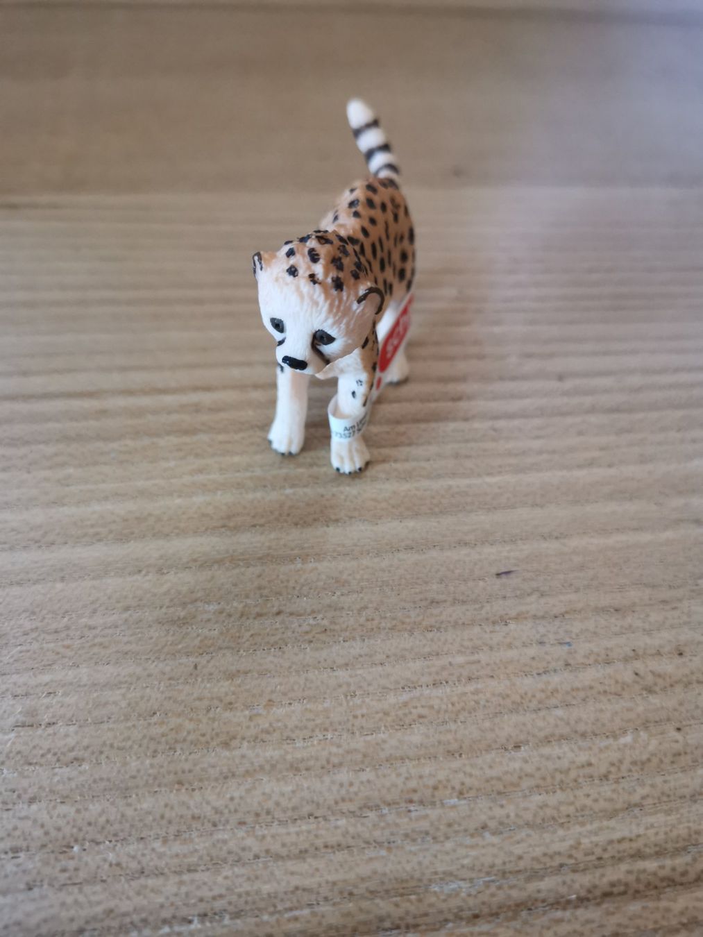 Schleich Giocattoli: Schleich Tierfigur Gepardbaby neu – Nuovo e nell'imballaggio originale da Fankhaus (Trub) venduto da sun_7677