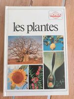 Les plantes "MONDO" - OCCASION
