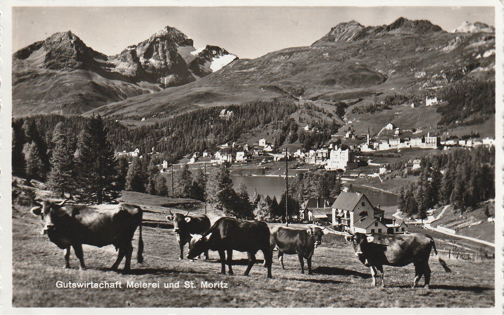 Cartoline postali: AK - St. Moritz - gel. 18.7.1943 – Usato da Fribourg venduto da schnalla92