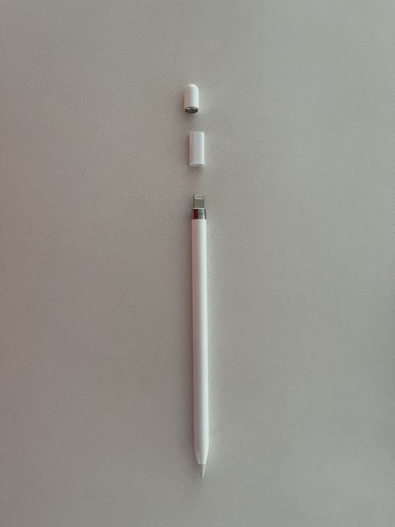 Apple Pen 1. Generation komplett Kaufen auf Ricardo