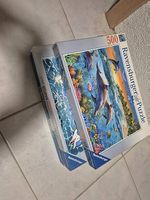 puzzle 500
