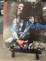 Busta Rhymes / When Disaster strikes 