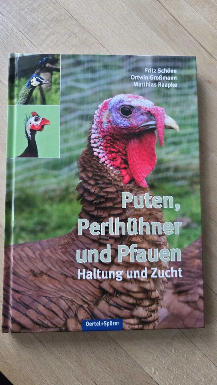 Libri: Puten, Perlhühner und Pfauen halten – Nuovo (secondo la descrizione) da Rüthi (Rheintal) venduto da Sinhue