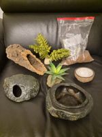 Lot accessoires terrarium plantes et cachettes reptile