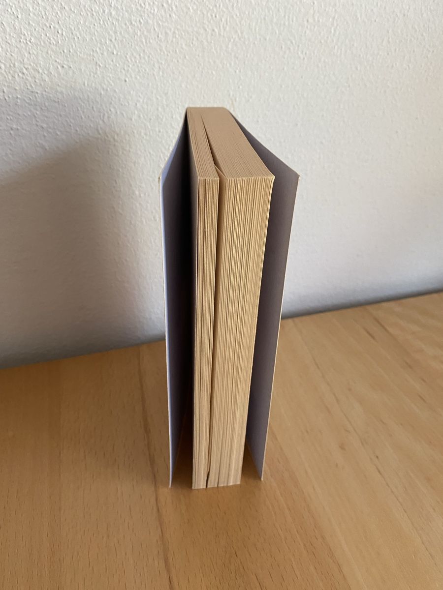 Libri: Wege der Erdheilung - Marko Pogačnik – Usato da Schwarzenburg venduto da Michellu 3