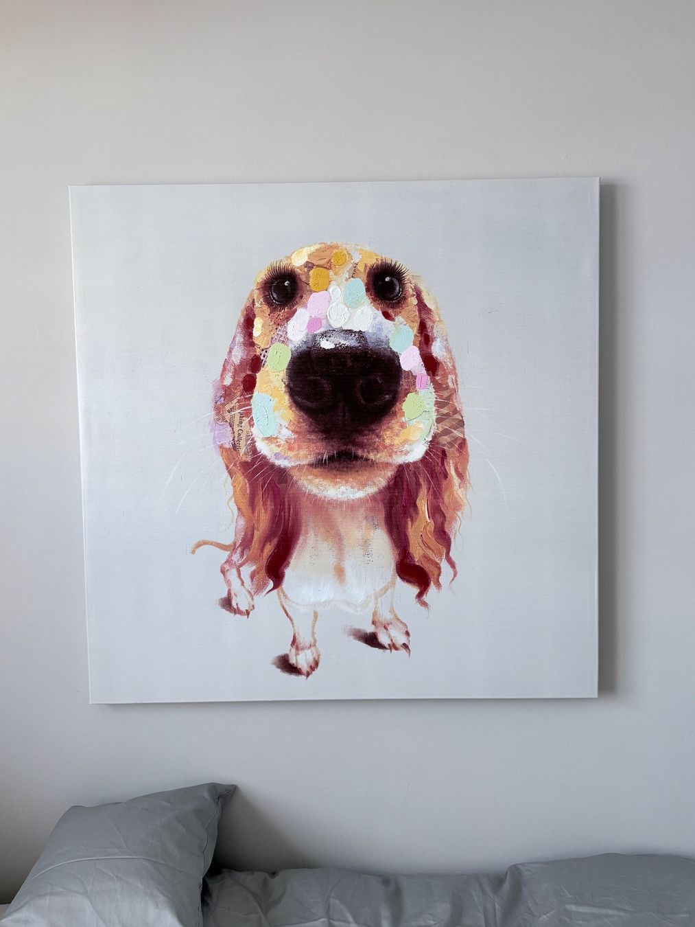 Foto & Immagini: Leinwandbild Hund 90x90 cm – Usato da Wermatswil venduto da FEDN