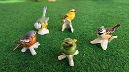 Goebel, Porzellan Vögel, 5 Stk divers Germany