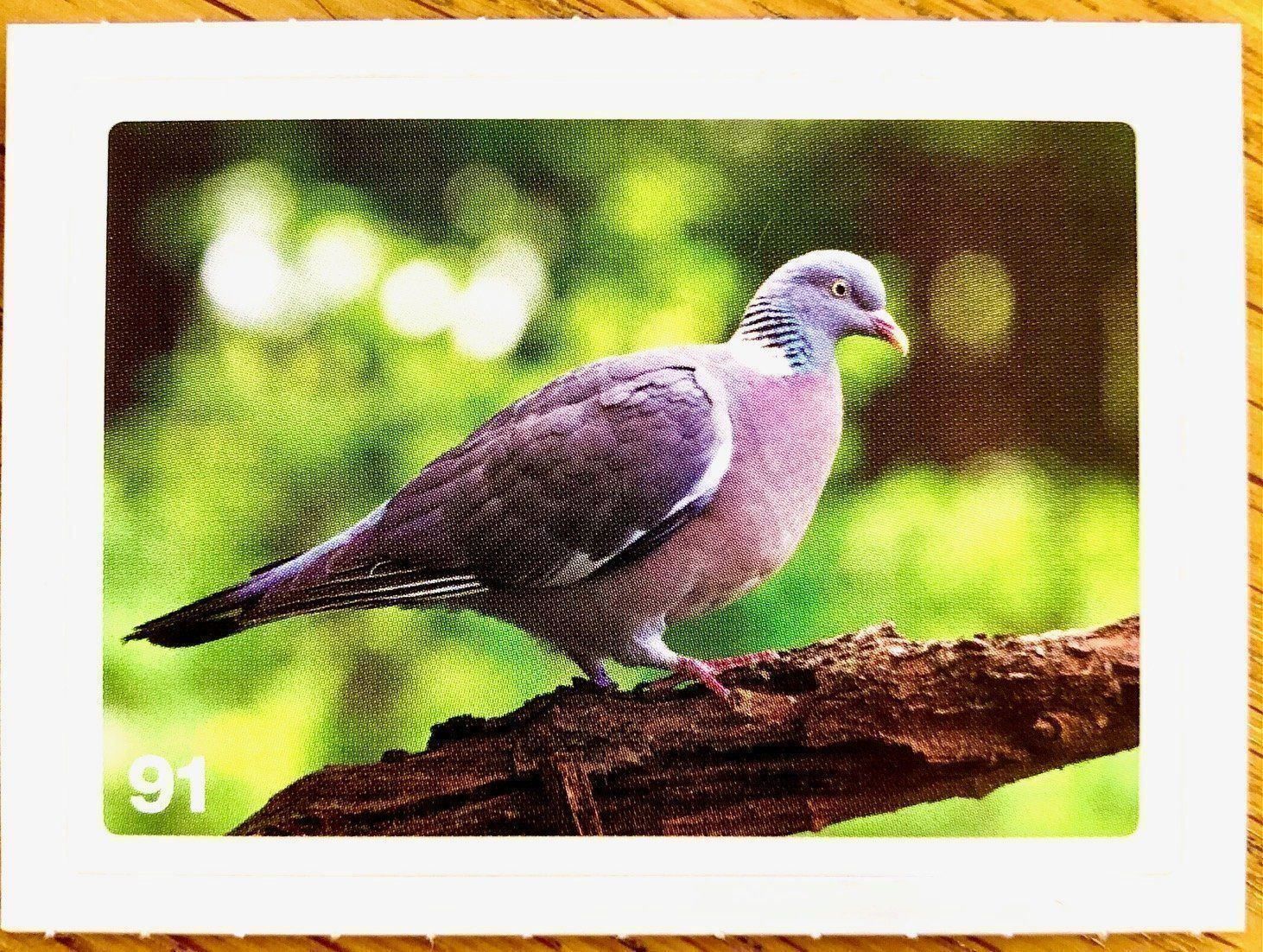 Migros Carte collezionabili: Migros Nature Detectives - Bild Nr. 91 – Nuovo (secondo la descrizione) da Oberrieden venduto da Zimmerberg10